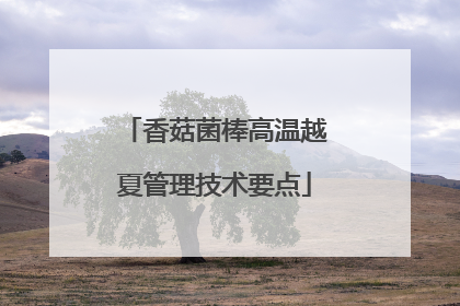 香菇菌棒高温越夏管理技术要点