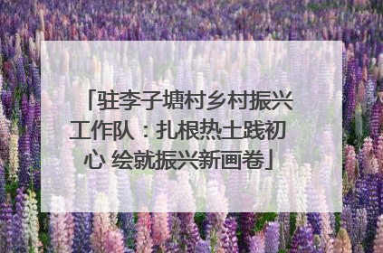 驻李子塘村乡村振兴工作队：扎根热土践初心 绘就振兴新画卷