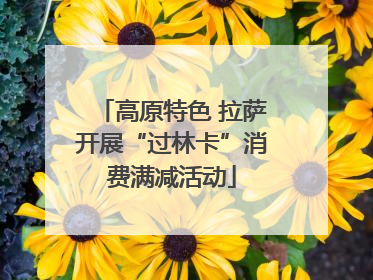 高原特色 拉萨开展“过林卡”消费满减活动