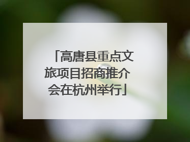 高唐县重点文旅项目招商推介会在杭州举行