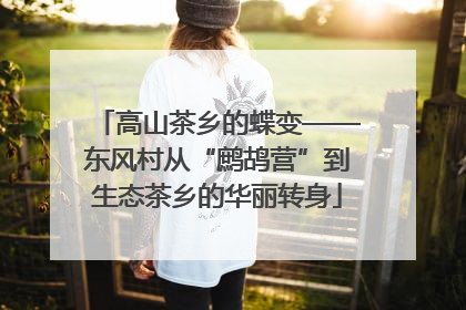 高山茶乡的蝶变——东风村从“鹧鸪营”到生态茶乡的华丽转身