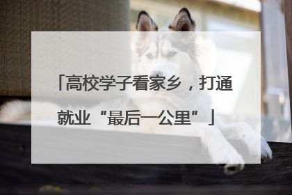 高校学子看家乡，打通就业“最后一公里”