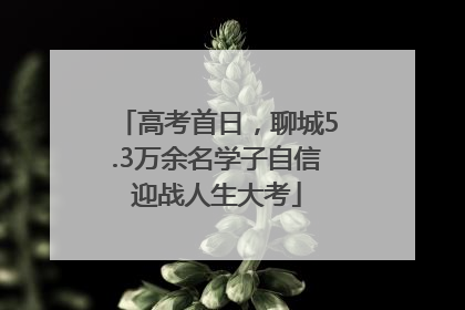高考首日，聊城5.3万余名学子自信迎战人生大考