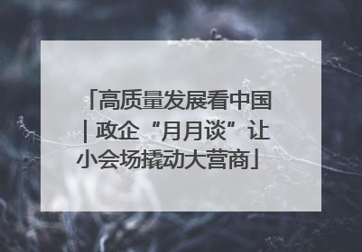 高质量发展看中国｜政企“月月谈”让小会场撬动大营商