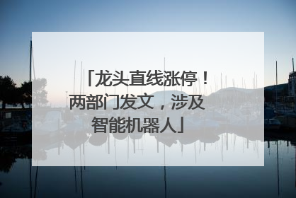 龙头直线涨停！两部门发文，涉及智能机器人