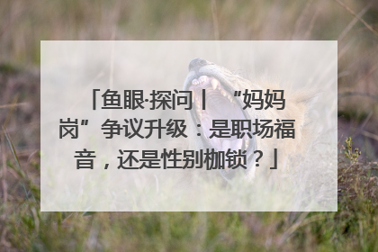 鱼眼·探问丨 “妈妈岗”争议升级：是职场福音，还是性别枷锁？