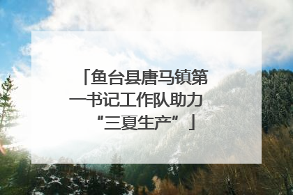 鱼台县唐马镇第一书记工作队助力“三夏生产”
