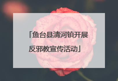 鱼台县清河镇开展反邪教宣传活动