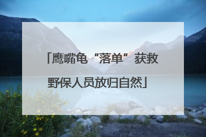 鹰嘴龟“落单”获救 野保人员放归自然