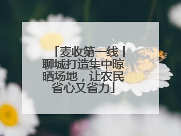 麦收第一线丨聊城打造集中晾晒场地，让农民省心又省力