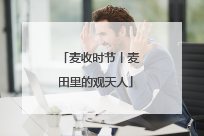 麦收时节丨麦田里的观天人