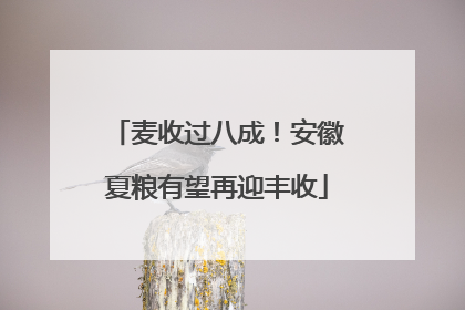 麦收过八成！安徽夏粮有望再迎丰收