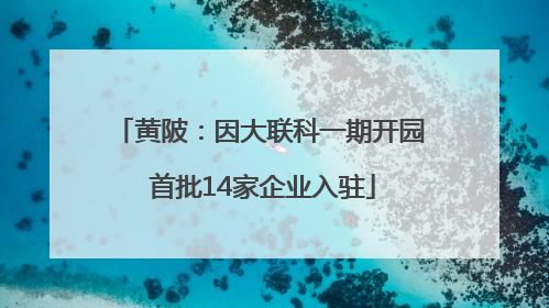 黄陂：因大联科一期开园 首批14家企业入驻