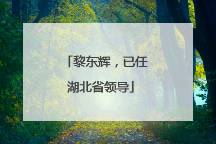 黎东辉，已任湖北省领导