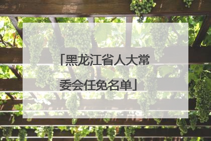 黑龙江省人大常委会任免名单