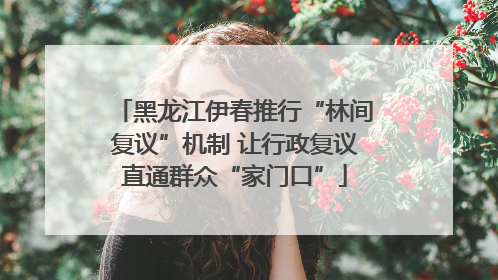 黑龙江伊春推行“林间复议”机制 让行政复议直通群众“家门口”