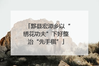 黟县宏潭乡以“绣花功夫”下好整治“先手棋”