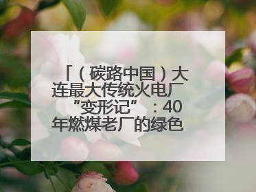 （碳路中国）大连最大传统火电厂“变形记”：40年燃煤老厂的绿色转型之路