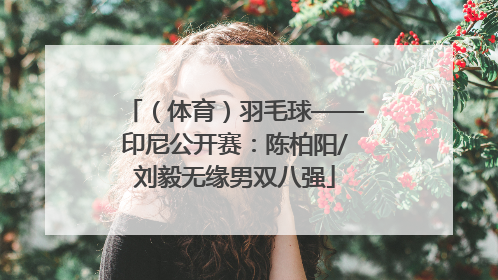 （体育）羽毛球——印尼公开赛：陈柏阳/刘毅无缘男双八强
