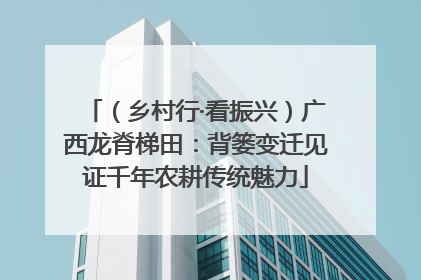 （乡村行·看振兴）广西龙脊梯田：背篓变迁见证千年农耕传统魅力