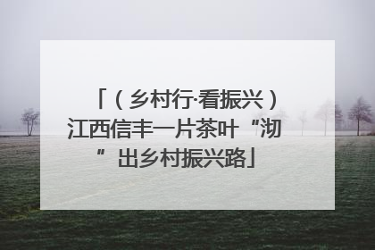 （乡村行·看振兴）江西信丰一片茶叶“沏”出乡村振兴路