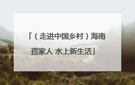 （走进中国乡村）海南疍家人 水上新生活
