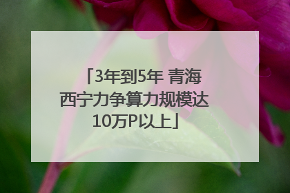 3年到5年 青海西宁力争算力规模达10万P以上