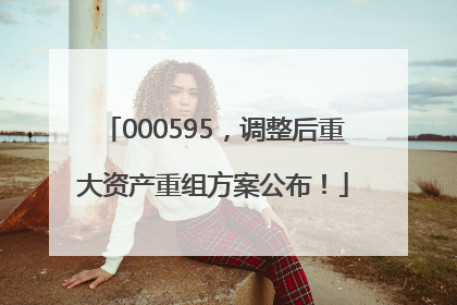 000595，调整后重大资产重组方案公布！