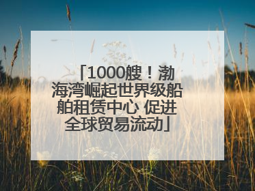 1000艘！渤海湾崛起世界级船舶租赁中心 促进全球贸易流动