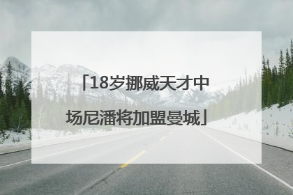 18岁挪威天才中场尼潘将加盟曼城