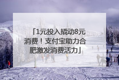 1元投入撬动8元消费！支付宝助力合肥激发消费活力