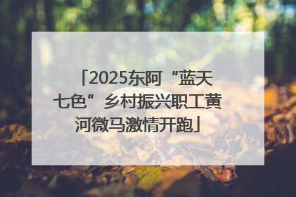 2025东阿“蓝天七色”乡村振兴职工黄河微马激情开跑