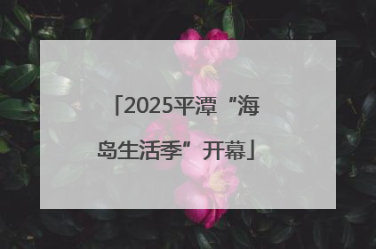 2025平潭“海岛生活季”开幕