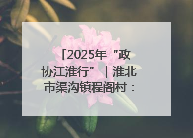 2025年“政协江淮行”｜淮北市渠沟镇程阁村：“生态痛点”变“生态景观”