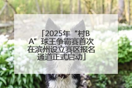 2025年“村BA”球王争霸赛首次在滨州设立赛区报名通道正式启动
