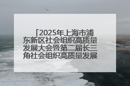 2025年上海市浦东新区社会组织高质量发展大会暨第二届长三角社会组织高质量发展峰会成功举办