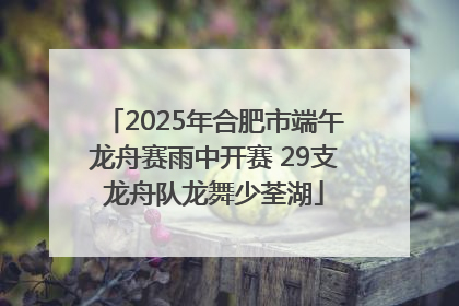 2025年合肥市端午龙舟赛雨中开赛 29支龙舟队龙舞少荃湖