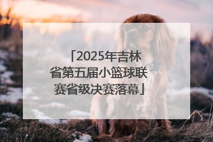 2025年吉林省第五届小篮球联赛省级决赛落幕