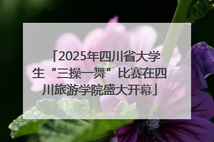 2025年四川省大学生“三操一舞”比赛在四川旅游学院盛大开幕