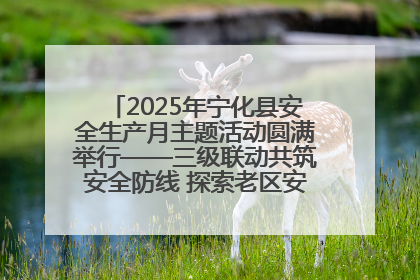 2025年宁化县安全生产月主题活动圆满举行——三级联动共筑安全防线 探索老区安全发展新路径