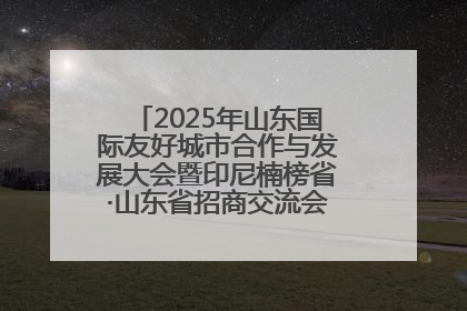 2025年山东国际友好城市合作与发展大会暨印尼楠榜省·山东省招商交流会在济南槐荫举行