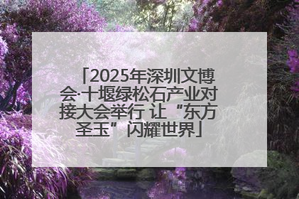 2025年深圳文博会·十堰绿松石产业对接大会举行 让“东方圣玉”闪耀世界