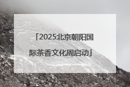 2025北京朝阳国际茶香文化周启动