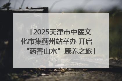 2025天津市中医文化市集蓟州站举办 开启“药香山水”康养之旅