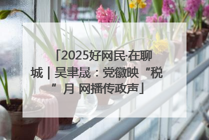 2025好网民·在聊城｜吴聿晟：党徽映“税”月 网播传政声