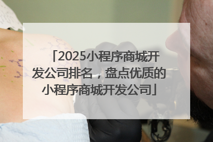 2025小程序商城开发公司排名，盘点优质的小程序商城开发公司