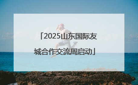 2025山东国际友城合作交流周启动