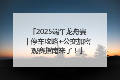 2025端午龙舟赛｜停车攻略+公交加密 观赛指南来了！