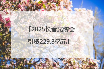 2025长春光博会引资229.3亿元