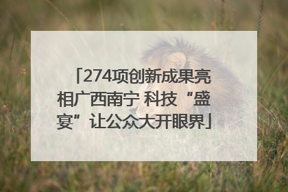 274项创新成果亮相广西南宁 科技“盛宴”让公众大开眼界